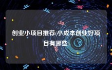 创业小项目推荐(小成本创业好项目有哪些)