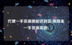 代理一手货源哪能进到货(微商拿一手货源渠道)