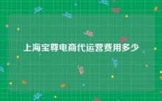 上海宝尊电商代运营费用多少