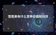 雪莲果有什么营养价值和功效