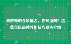 最好养的仓鼠排名，你知道吗？这些仓鼠品种养护技巧要点介绍