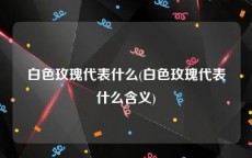 白色玫瑰代表什么(白色玫瑰代表什么含义)