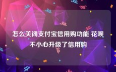 怎么关闭支付宝信用购功能 花呗不小心升级了信用购