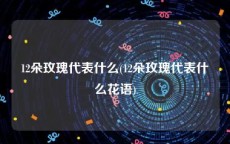 12朵玫瑰代表什么(12朵玫瑰代表什么花语)