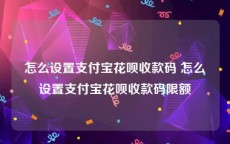 怎么设置支付宝花呗收款码 怎么设置支付宝花呗收款码限额