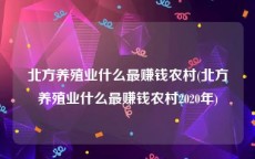 北方养殖业什么最赚钱农村(北方养殖业什么最赚钱农村2020年)