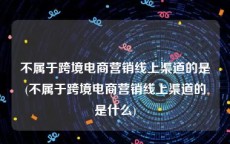 不属于跨境电商营销线上渠道的是(不属于跨境电商营销线上渠道的是什么)