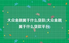 大众金融属于什么贷款(大众金融属于什么贷款平台)