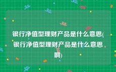 银行净值型理财产品是什么意思(银行净值型理财产品是什么意思啊)