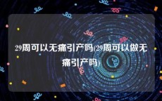 29周可以无痛引产吗(29周可以做无痛引产吗)