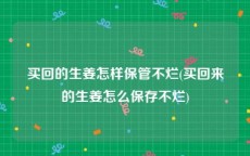 买回的生姜怎样保管不烂(买回来的生姜怎么保存不烂)