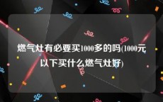 燃气灶有必要买1000多的吗(1000元以下买什么燃气灶好)