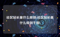 社区站长是什么级别(社区站长是什么级别干部)