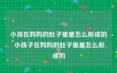 小孩在妈妈的肚子里是怎么形成的 小孩子在妈妈的肚子里是怎么形成的