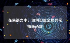 在易语言中，如何设置全局异常捕获函数