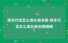 用支付宝怎么查社保余额 用支付宝怎么查社保余额明细