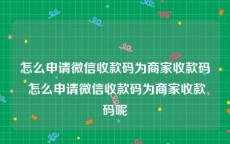 怎么申请微信收款码为商家收款码 怎么申请微信收款码为商家收款码呢