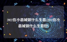 2022在小县城做什么生意(2022在小县城做什么生意好)