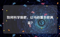 如何科学施肥，让马铃薯丰收满盆？