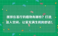 摆放在客厅的植物有哪些？打造宜人空间，让家充满生机和舒适！