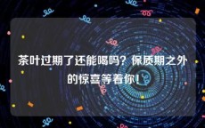 茶叶过期了还能喝吗？保质期之外的惊喜等着你！