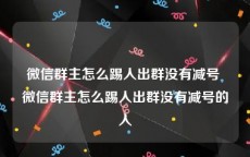 微信群主怎么踢人出群没有减号 微信群主怎么踢人出群没有减号的人