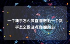 一个新手怎么做直播赚钱(一个新手怎么做游戏直播赚钱)