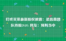 叮咚买菜最新股权披露：梁昌霖团队持股29.8% 网友：预料当中