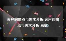 客户的痛点与需求分析(客户的痛点与需求分析 易斌)