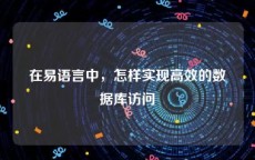 在易语言中，怎样实现高效的数据库访问