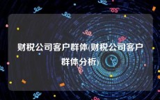 财税公司客户群体(财税公司客户群体分析)