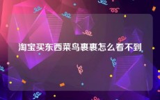 淘宝买东西菜鸟裹裹怎么看不到