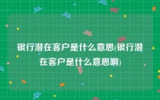 银行潜在客户是什么意思(银行潜在客户是什么意思啊)