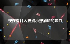 现在有什么投资小好加盟的项目