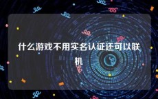 什么游戏不用实名认证还可以联机