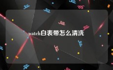 watch白表带怎么清洗