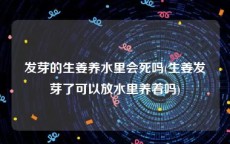 发芽的生姜养水里会死吗(生姜发芽了可以放水里养着吗)