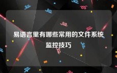 易语言里有哪些常用的文件系统监控技巧