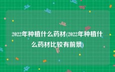 2022年种植什么药材(2022年种植什么药材比较有前景)