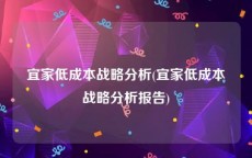 宜家低成本战略分析(宜家低成本战略分析报告)