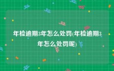 年检逾期3年怎么处罚(年检逾期3年怎么处罚呢)