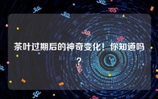 茶叶过期后的神奇变化！你知道吗？