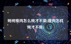 炖纯瘦肉怎么炖才不柴(瘦肉怎样炖才不柴)