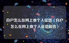 白户怎么在网上查个人征信〈白户怎么在网上查个人征信报告〉