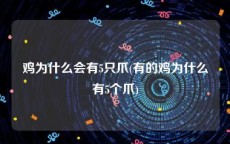 鸡为什么会有5只爪(有的鸡为什么有5个爪)