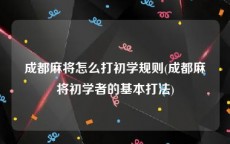 成都麻将怎么打初学规则(成都麻将初学者的基本打法)