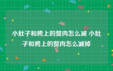 小肚子和胯上的赘肉怎么减 小肚子和胯上的赘肉怎么减掉