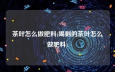 茶叶怎么做肥料(喝剩的茶叶怎么做肥料)