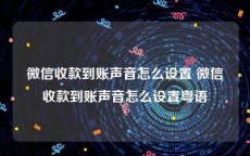 微信收款到账声音怎么设置 微信收款到账声音怎么设置粤语