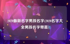 2020最新名字男孩名字(2020名字大全男孩名字带嘉)